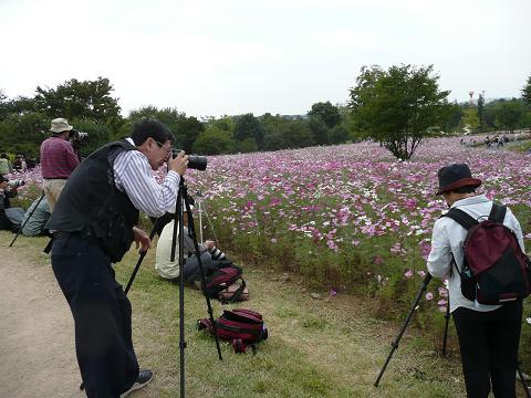 カメラはプロ級！