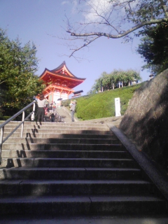 kyoto_kiko22.jpg