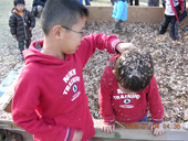 DSCN4257_edited-1.jpg
