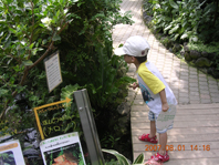 20070801c.jpg
