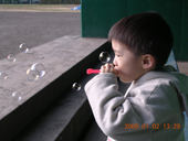 DSCN4205_edited-1.jpg