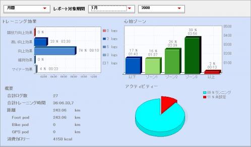 月間 レポート対象期間 1月 2008.jpg 1.jpg