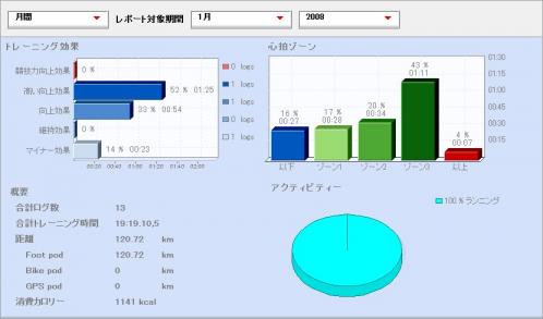 月間 レポート対象期間 1月 2008.jpg