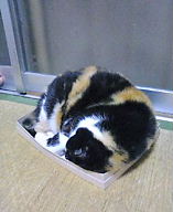 image040.jpg