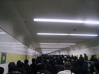 IMG_5480.JPG