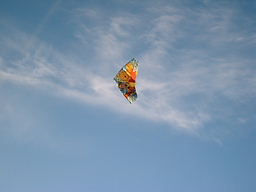 IMG_0990.JPG
