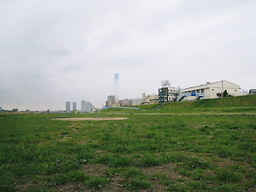 IMG_1373.JPG
