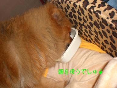 固定したぞ(＾_＾)