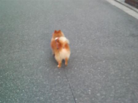 リードする女
