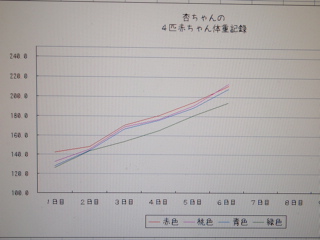 体重の記録グラフ。