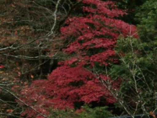 貴船神社2