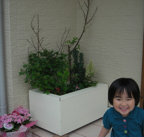 玄関のプランターカバー