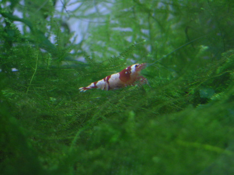 う～ん。100点満点♪