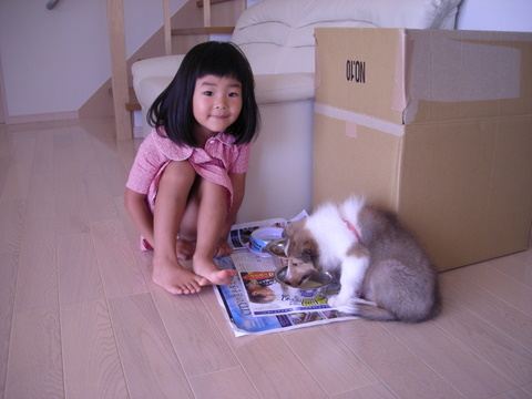 こりんとぴいすけ