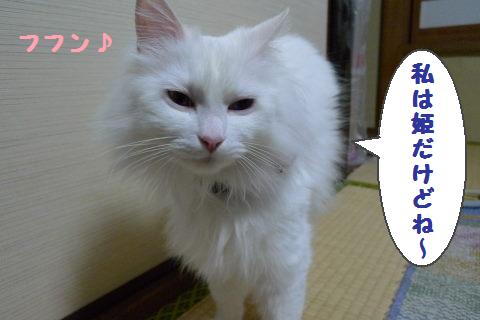 モコ