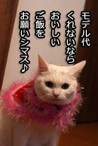 20090120-03.jpg