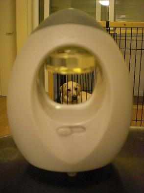 つまんない顔しないの？