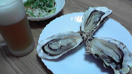 生牡蠣うんまっ！！