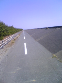 海岸道路