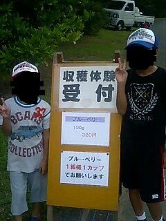 ブルーベリー収穫体験
