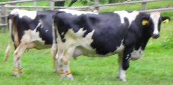 147.JPG