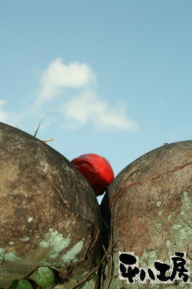 龍馬、日本の夜明けを語る-4