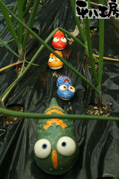 ツチノコは農業の神様の使い