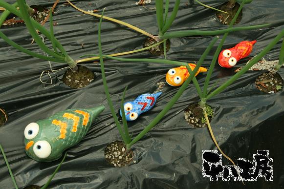 ツチノコは農業の神様の使い