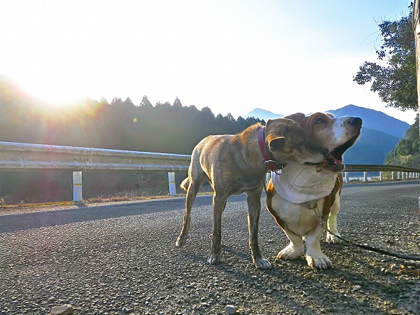 好き好き・ぎゃーやめてー