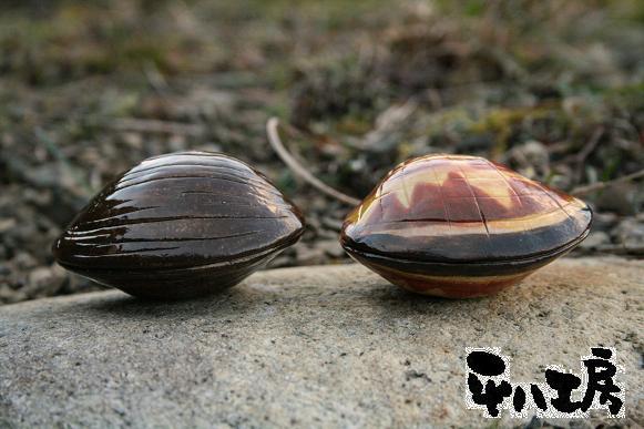 あさりとしじみ