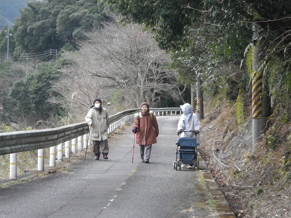 嶋津のお嬢さん