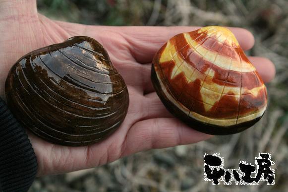 あさりとしじみ