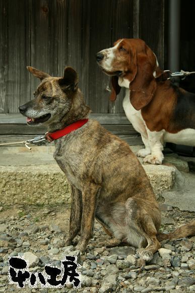 平八工房ギャラリー