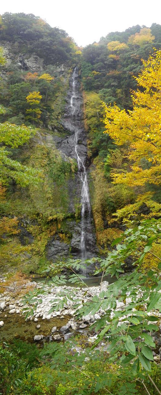 十津川村