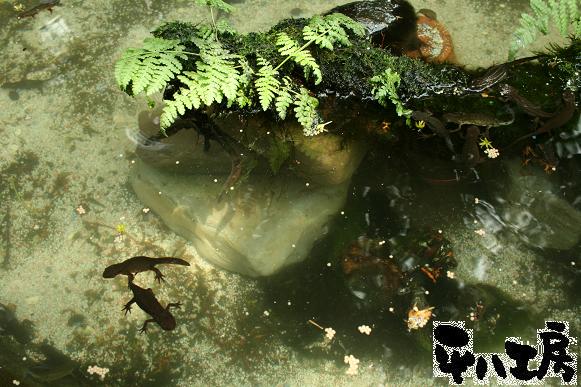 平八工房ギャラリー