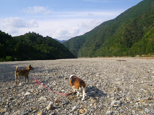 和歌山県新宮市熊野川町嶋津