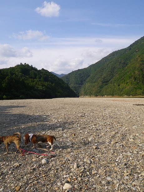 和歌山県新宮市熊野川町嶋津