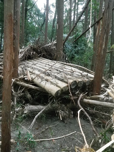 北山村のイカダ？