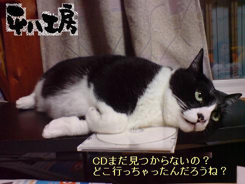 平八工房のスタッフ「二億（におく）」