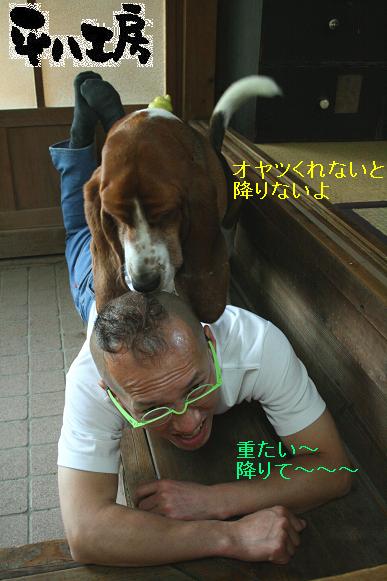 平八工房のスタッフ「銀次郎」