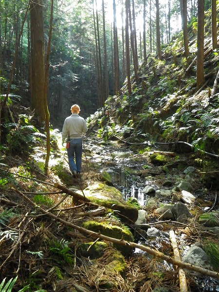 「龍穴（パワースポット）を見よう！」裏山登山13