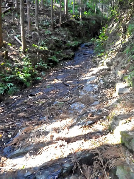 「龍穴（パワースポット）を見る！」裏山登山