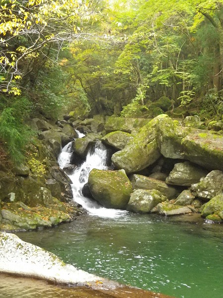 熊野川町沢登り