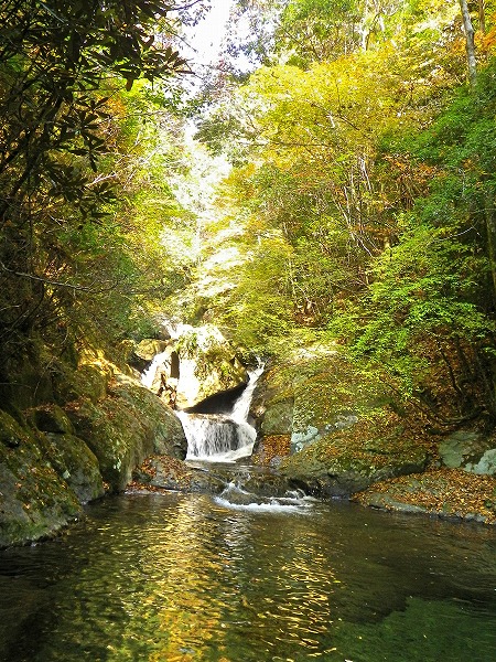 熊野川町沢登り