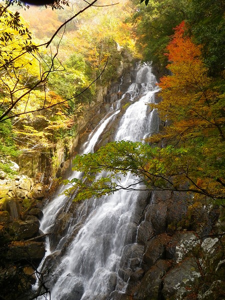 熊野川町沢登り