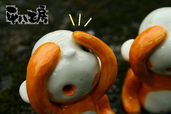 今話題騒然の○○○！