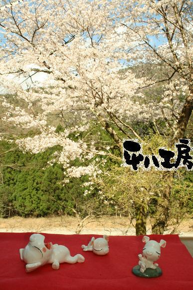 お花見ブタさん2