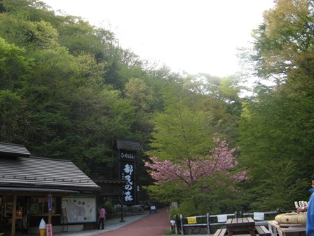 193 団子3兄弟、都民の森.JPG