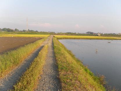 3_Road between fields.JPG