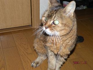 20091104 005.JPG